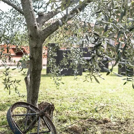 Pensionat Relais Buonviaggio